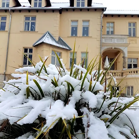 Lejlighed Le Palais Quedlinburg